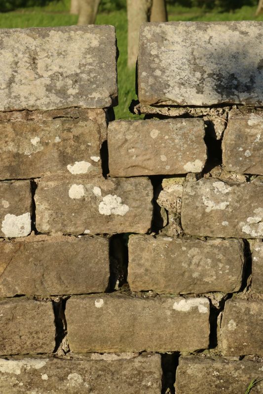 Stone Wall Repair in Olathe, KS